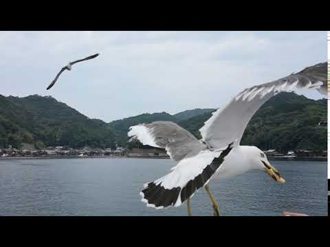 華為 P20 Pro 960fps 慢動作一