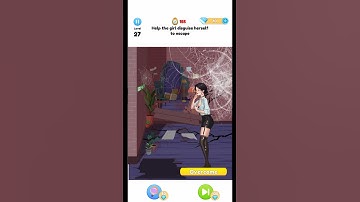 Annoying Puzzle Game 2 - Level 27 - Help the girl disguise herself to escape.