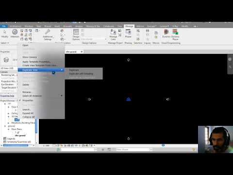 edit /  modify default project browser revit architecture
