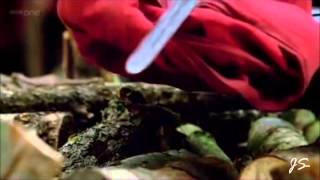 Merlin Tribute Onerepublic - Secrets