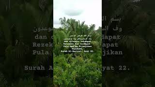 Terasa Sejuk Tausiah Nasehat Tentang Rezeki Ini... Subhanallah.