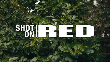RED KOMODO 6K Footage | R3D LQ, 2:1, Sigma 50mm 1.4