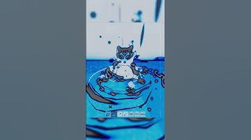 Leopard + Mink v4 + Pilot Helmet Vs Kitsune Fruit Speed Race