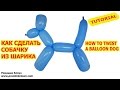 СОБАЧКА ИЗ ДЛИННОГО ШАРИКА ШДМ как сделать своими руками How to Make a Dog With Twisting Balloon