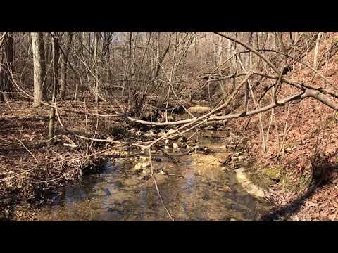 Video Ground BH30 down in the creek bed