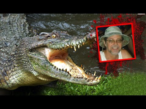 Vídeo: Hi ha caimans al llac Pontchartrain?