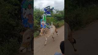 #cmysjagan  #ysjaganagenda #ysrcpmusic #ysrcpsongs #jaganannaagendasong