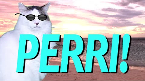 HAPPY BIRTHDAY PERRI! - EPIC CAT Happy Birthday Song