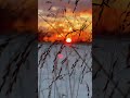 Pause...!! - [ Geschichten &amp; Poesie ] - Amdisia