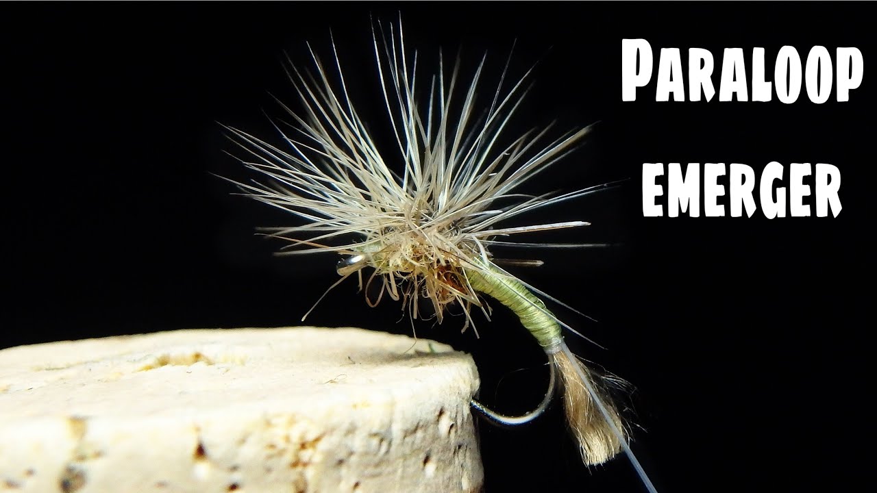 fly tying PARALOOP EMERGER por G YouTube