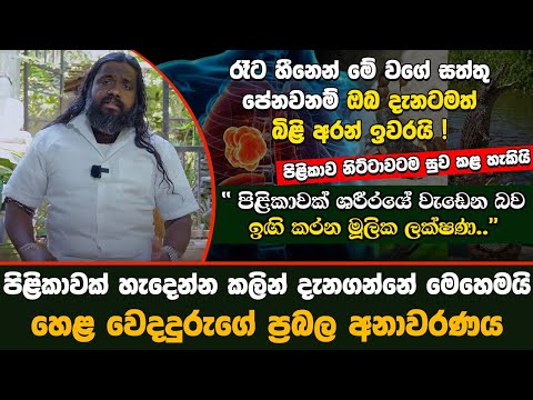 පිළිකාවක් හැදෙන්න කලින් දැනගන්නේ මෙහෙමයි.. ශරීරය ඉ﻿ඟි කරන මූලික ලක්ෂණ | Cancer