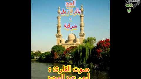 ما تيسر من سورة يوسف للقارئ أيمن عبد المجيد