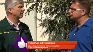 Передача СДЕЛАНО НА КУБАНИ телерадиокомпании Кубань 24 Передача СДЕЛАНО НА КУБАНИ телерадиокомпании Кубань 24