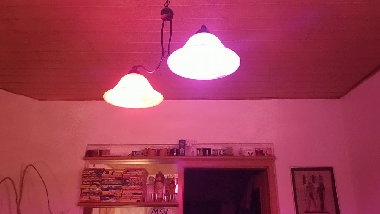 WiZ Color Lampe TEST