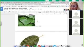 biology lab 3   relationships and biodiversity