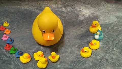 Rubber Ducky Stop Motion