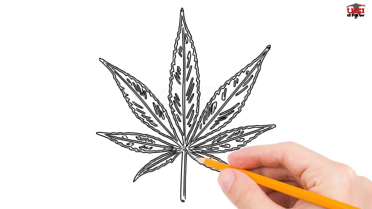 pot leaf drawing, drawings of pot leafs, draw pot leaf step by step, drawin...