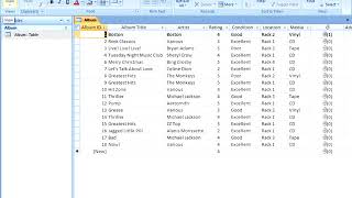 MS Access 2007 Essential Training   Part 21   Creating Data Entry Rules Masks