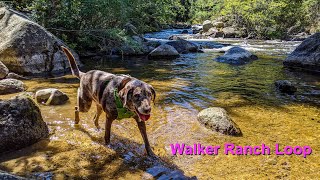 Walker Ranch Loop, Colorado - 2020/9/13