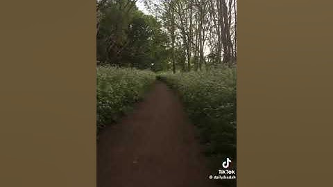 ما تيسر من سورة النحل برواية ورش بصوت الشيخ محمد عبدالحكيم بن سعيد العبدالله | قرآن الفجر ١٤٤٦هـ