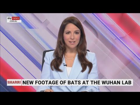 WORLD EXCLUSIVE  Footage proves bats were kept in Wuhan lab | Sky News Australia