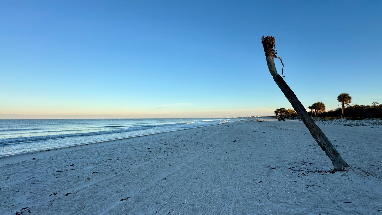 Утренняя прогулка Робба по пляжу Делнор-Уиггинс в Северном Нейплсе, Флорида, в среду | 25 февраля...