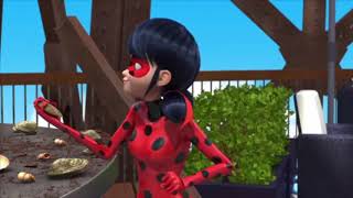 Cat Noir Calling Ladybug “M’lady and Buagaboo” Moments | Season 1-3