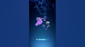 Meta’s V-JEPA 2: A New Self-Supervised World Model