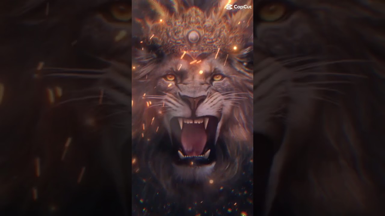 ‪@UpchurchOfficial‬