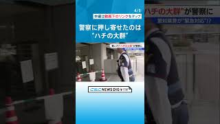 県警本部に“ある大群”が押し寄せ緊張走る…　“捜査”の結果「ミツバチ」と判明　最も安全な場所を選んだ？ #チャント