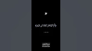 ستكتب شهادتهم ويسألون تلاوة خاشعة للشيخ المنشاوي