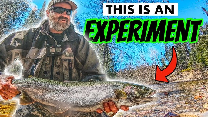 COHO Fishing On Lake Superior Tributaries Part 1- FALL RUN Small