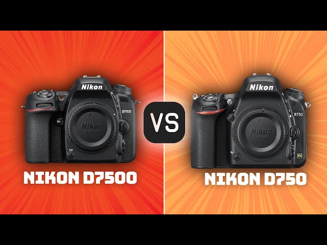 Nikon - ＮＩＫＯＮ　Ｄ７５０ Nikon D7500 vs Nikon D750 | Comparison - YouTube