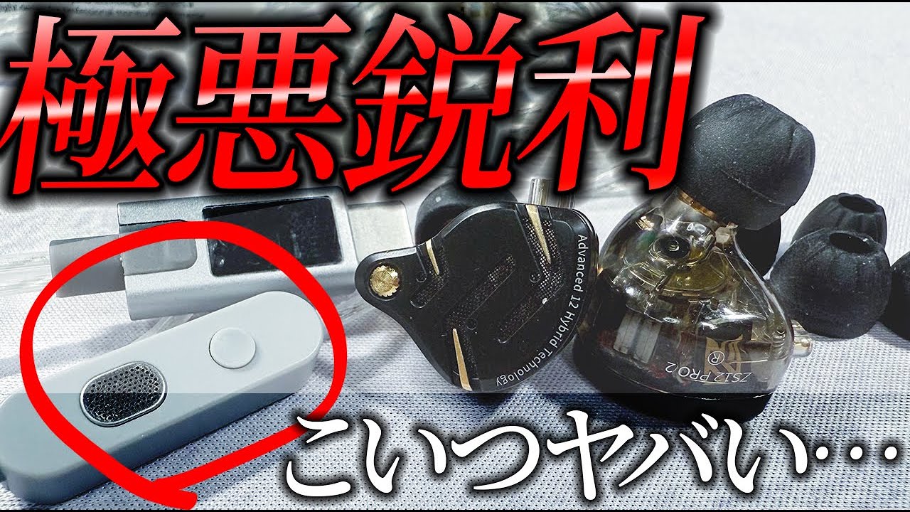 ちゃいと　2つ Ultra-clear, high-resolution [⚡️] Is the KZ ZS12 PRO 2 worth