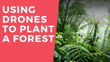 Using Drones To Plant A Forest | Indiatimes