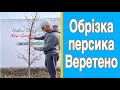 Обрізка персика 3 роки. Обрізка персика веретено. Обрізка персика весною. Детальна обрізка персика.