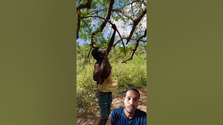 Hadzabe tribe found a bird on a tree #culture #africanculture #africa #tribe