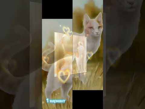 коты воители. 1