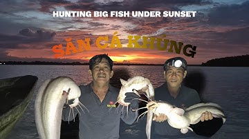 Săn Cá Ngát Khủng: Hành Trình Săn Cá Đêm Trên Sông Và Cái Kết Bất Ngờ-Epic Catfish Battle!#độtvh #52