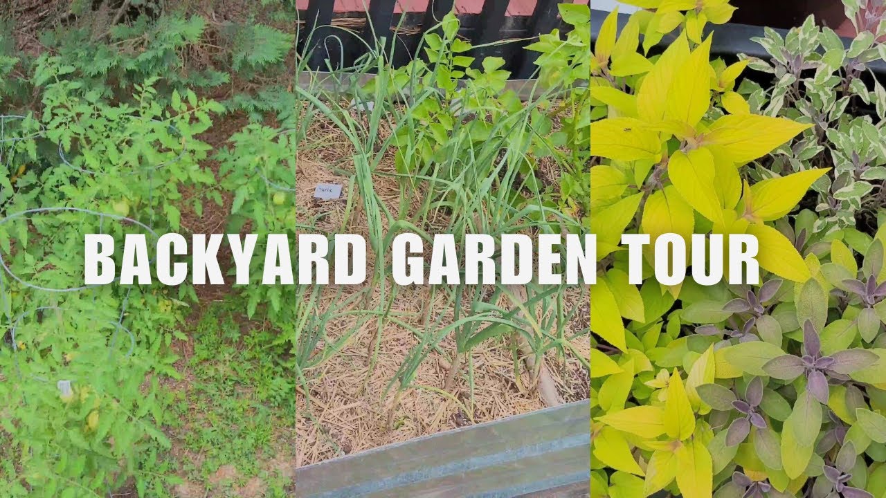 Backyard Garden Tour Spring Garden YouTube