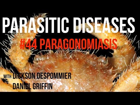 Video: Paragonimus Kellicotti u Psi