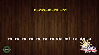Video voorbeeld van "Gondwana - Felicidad / con notas Para Melódica"
