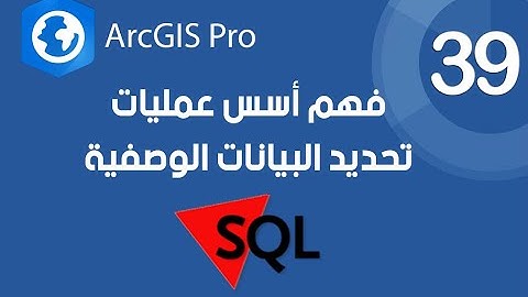ArcGIS Pro | فهم أسس عمليات تحديد البيانات الوصفية بواسطة SQL