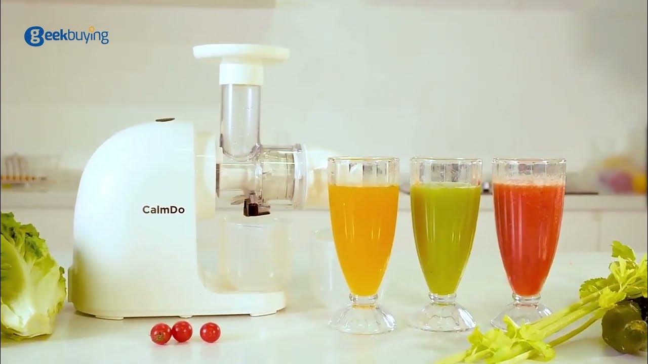 Calmdo E3C Multifunction Slow Juicer YouTube