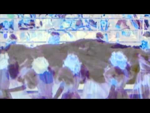 Joe White Magpie - Diamonds on the Sun