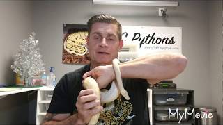 OFFICIAL 250 GIVEAWAY VIDEO