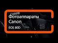 Видеообзор фотоаппарата Canon EOS 80D