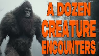 A Dozen Bigfoot Stories Best of Vol 10.