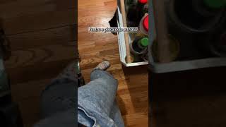 De ce atacă pisica picioarele? Explicație de medic veterinar