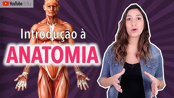 INTRODUÇÃO À ANATOMIA: Posição anatômica e termos de relação
